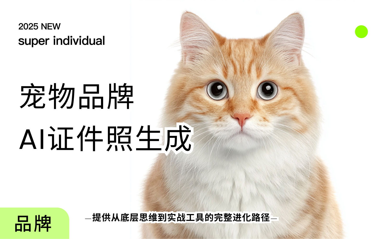 方案库.jpg